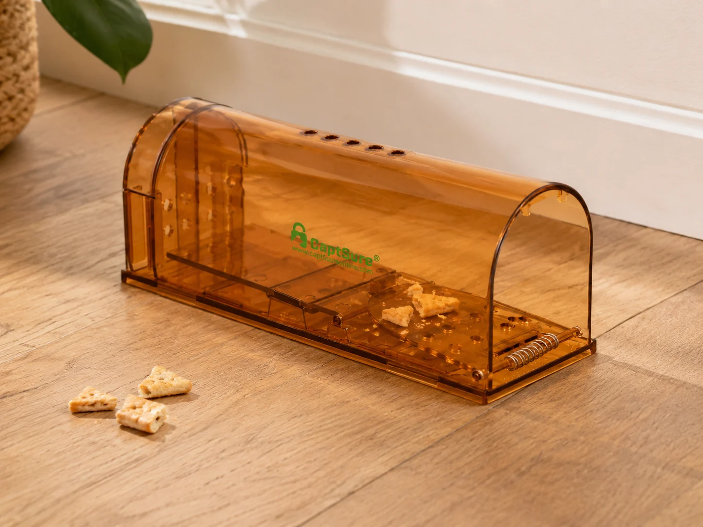 CAPTSURE humane mouse trap with cracker crumbs bait