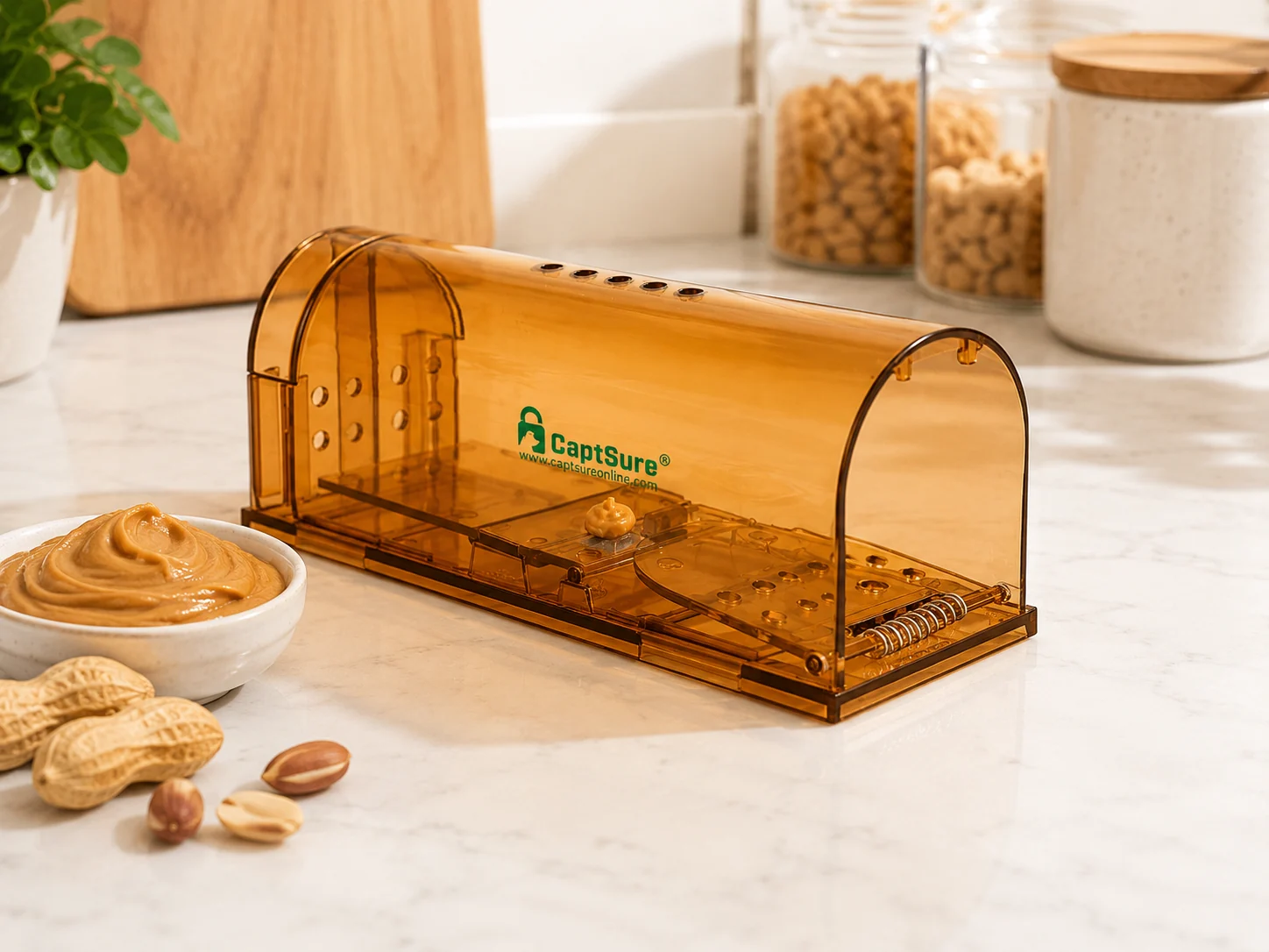 CAPTSURE humane mouse trap with peanut butter bait